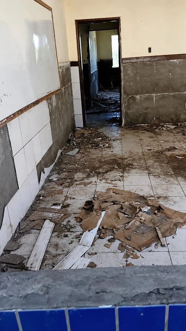 Cães são resgatados de maus-tratos em escola desativada no interior da Bahia por Divulgação