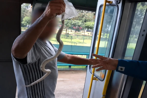 Cobra branca apareceu dentro do coletivo durante viagem na cidade de São José dos Campos, interior de São Paulo