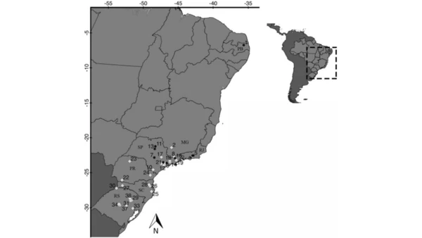Mapa da distribuição de rãs-touro no Brasil, segundo o estudo