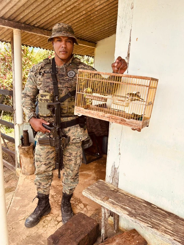 Operação Bioma resgata 137 aves sivestres  por Coppa