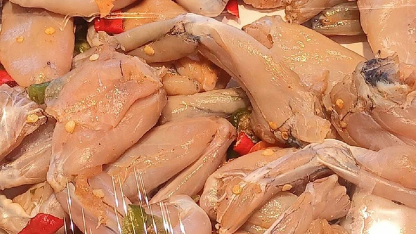 Rã-touro foi levada a diferentes países para produção de carne, atividade associada a escapes e solturas por Fumikas Sagisavas / Wikimedia Commons